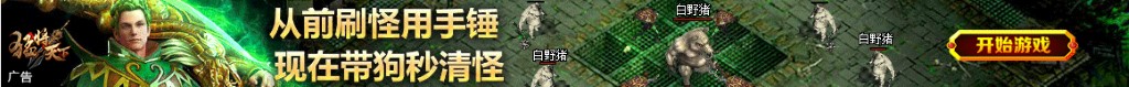 考斯特图片